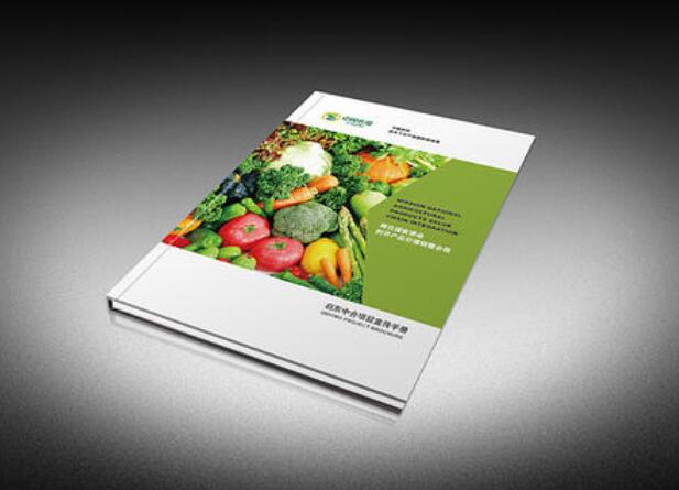 青島宣傳冊設(shè)計(jì)